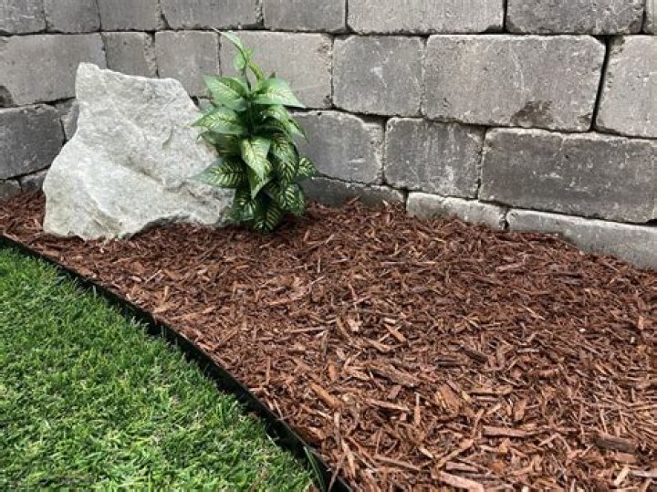 Can I use bark chippings as mulch?