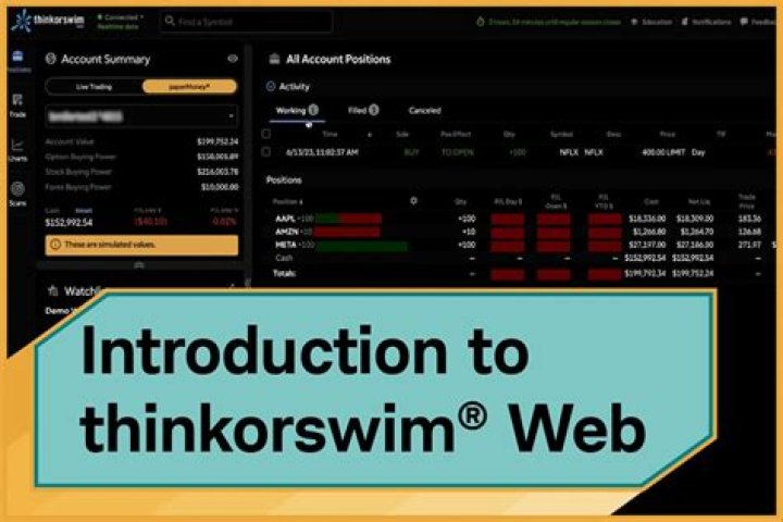 Can I use thinkorswim without an account?