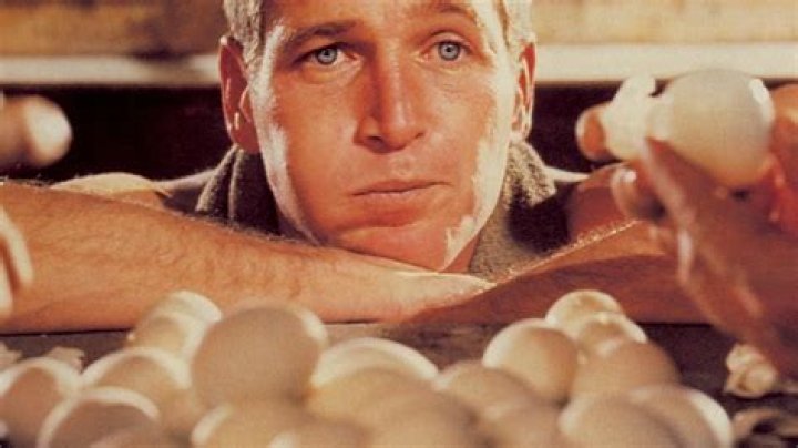 Did Paul Newman really eat 50 eggs?