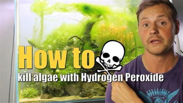 Does hydrogen peroxide kill algae?