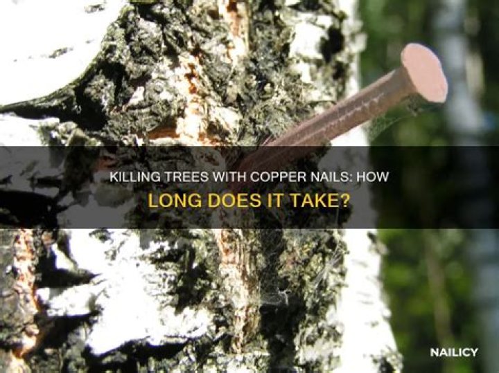 Does putting nails in trees kill them?