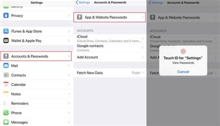How can I see my email passwords on my iPhone?
