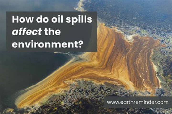 How do oil spills affect the ecosystem?