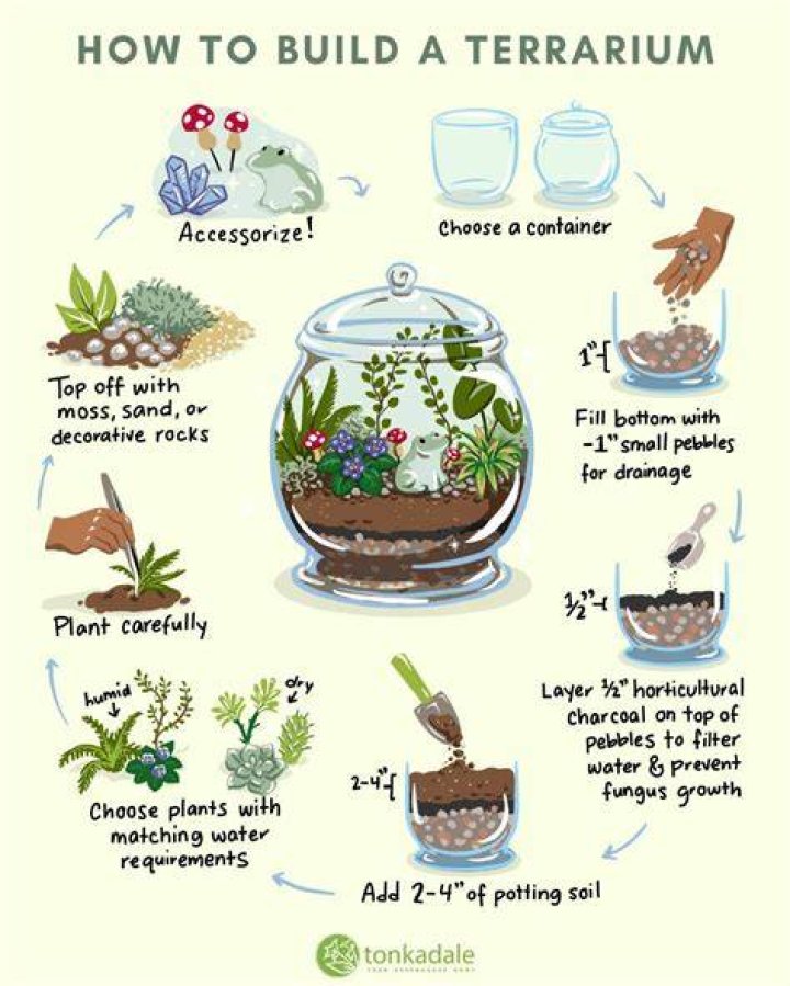 How do you make a mist terrarium?