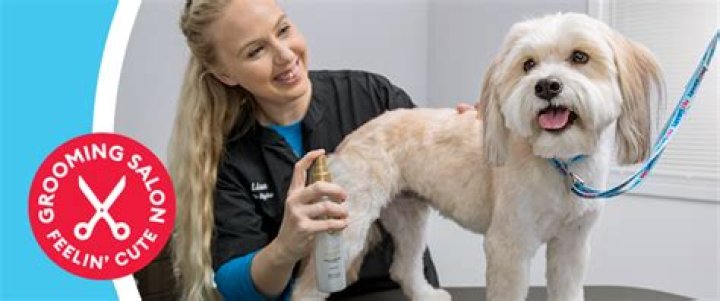 How much does grooming cost at PetSmart?