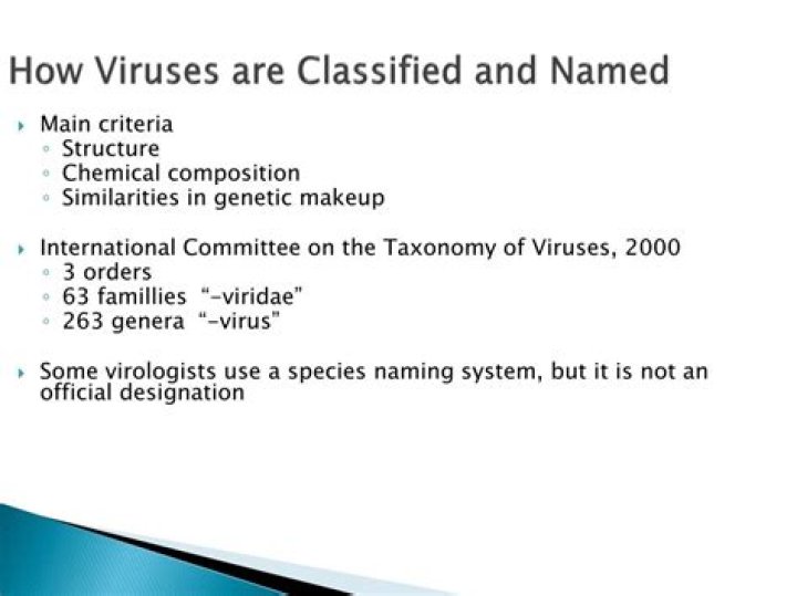 How Viruses are classified and named?