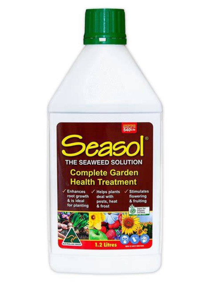 Is Seasol good for camellias?