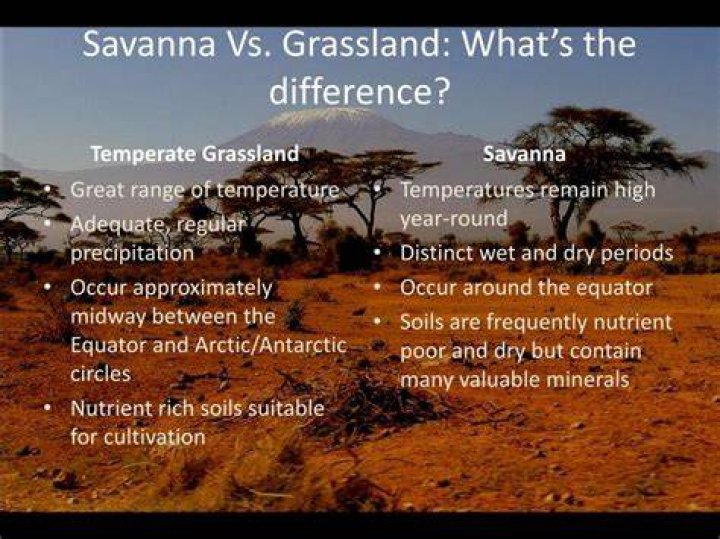 What's the difference between temperate grassland and savanna?