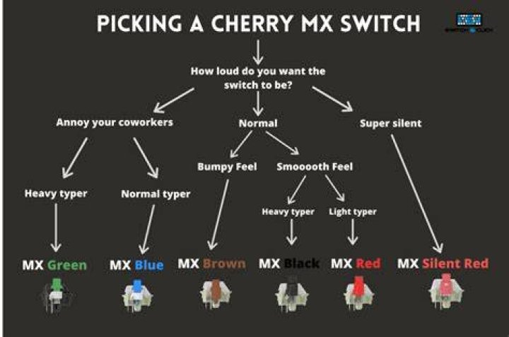 What are Cherry MX Blue switches good for?