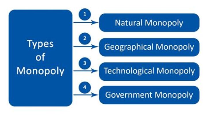 What are the four types of monopoly?