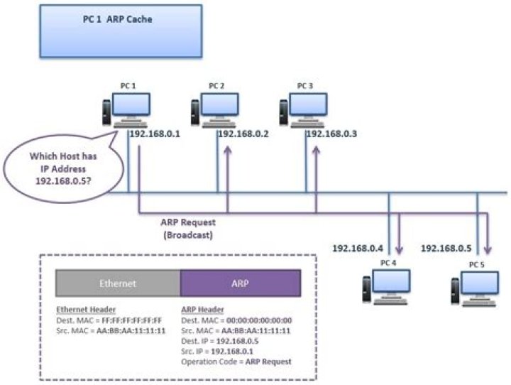 What command shows the ARP table?