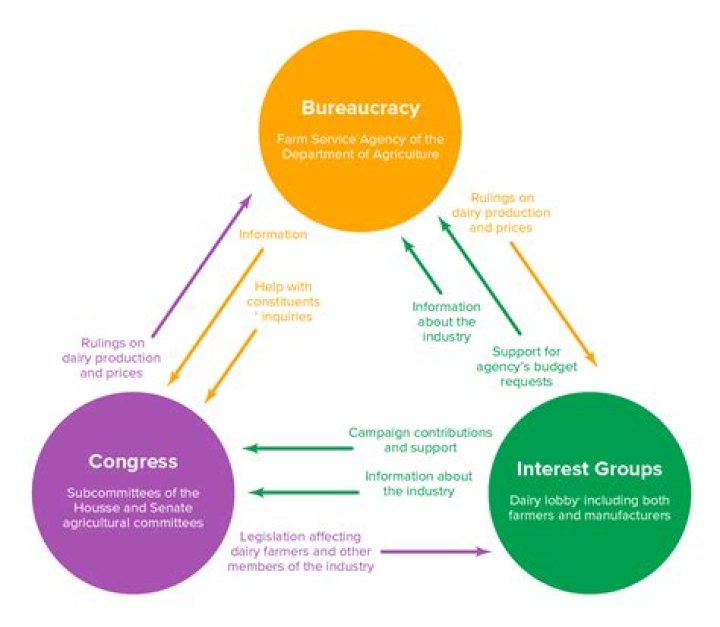 What do interest groups the federal bureaucracy and Congress make up?
