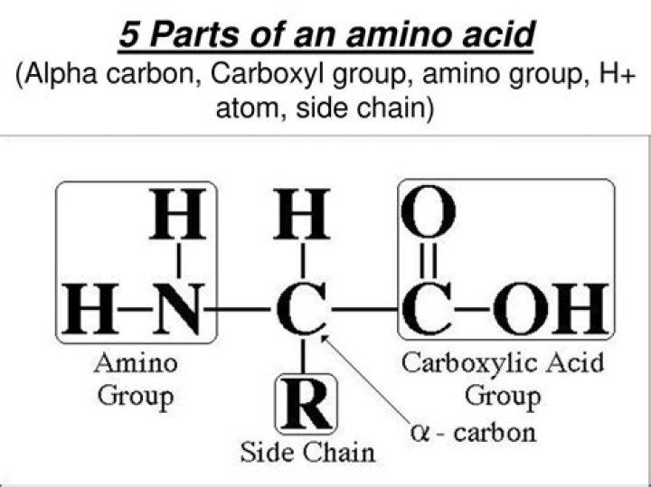 What does amein mean?