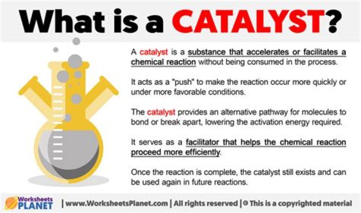 What does it mean when a person is a catalyst?