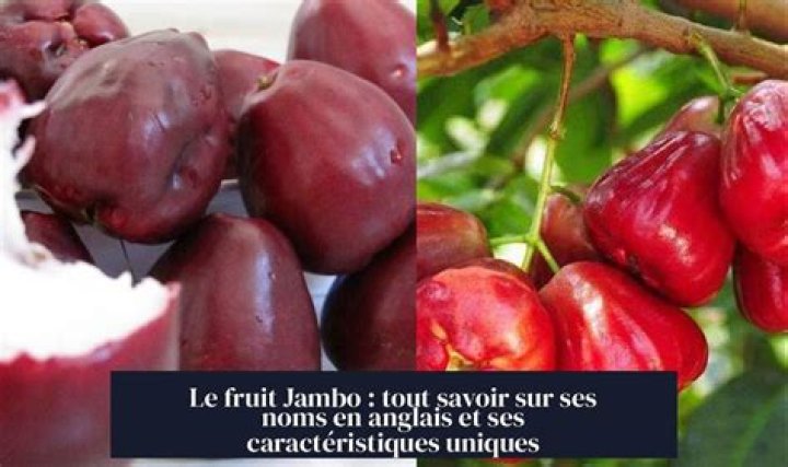 What does Jambo mean in Spanish?