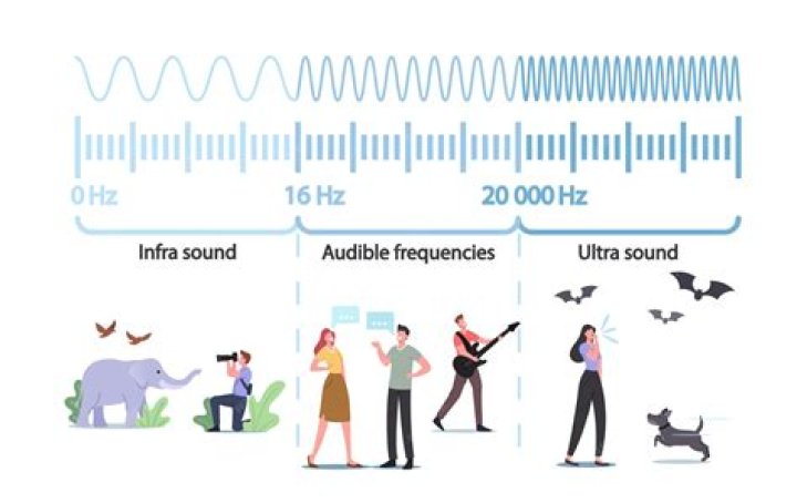 What does the quality of a sound depend on?