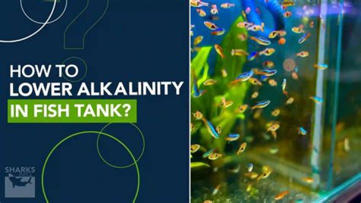 What is alkalinity in a fish tank?