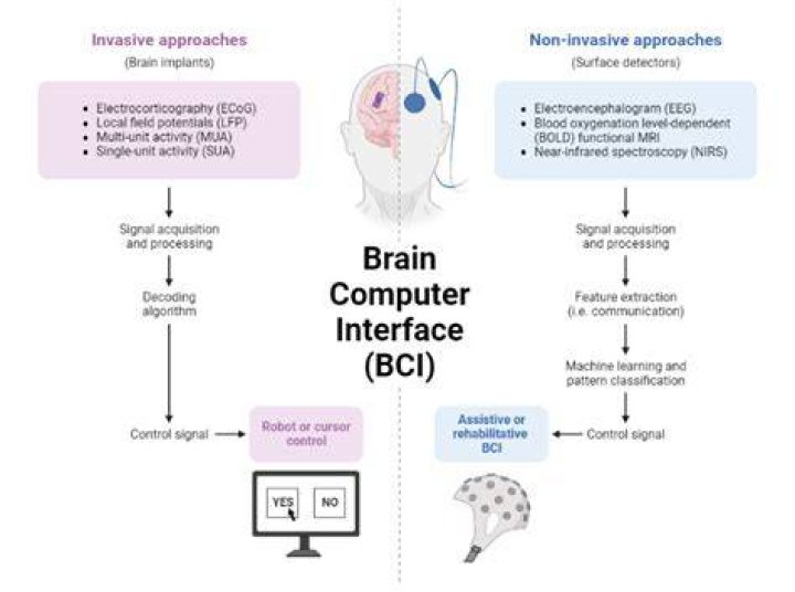 What is BCI information? | ContextResponse.com