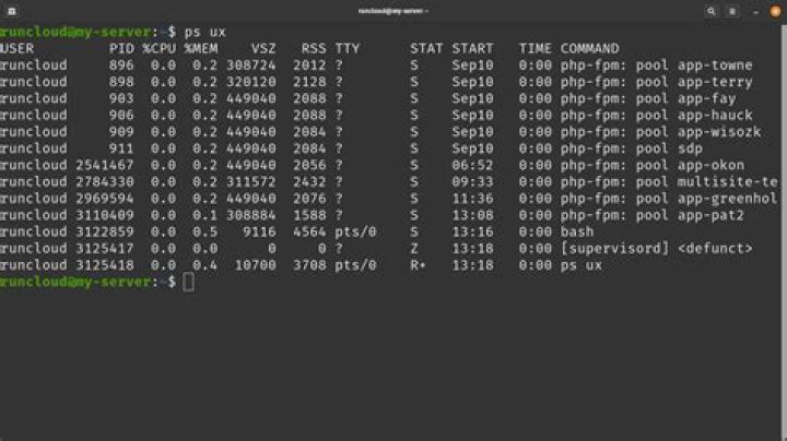 What is the command used to check the PID of all the processes current running in Linux environment?