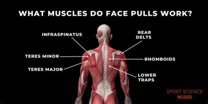 What muscles do you train for tennis?