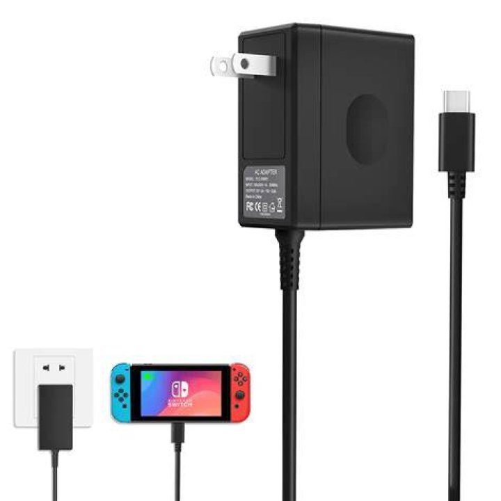 What type of charger does a Nintendo switch use?