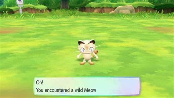 Where can I find meowth?