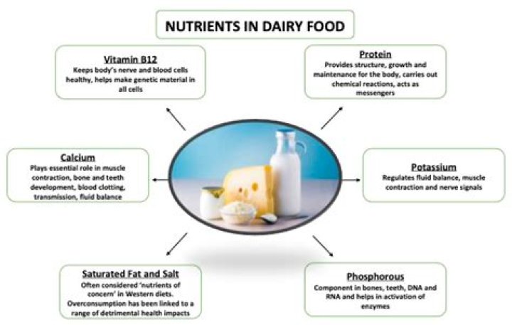 Which nutrients is not present in milk?