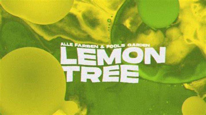 Who wrote the song Lemon Tree?